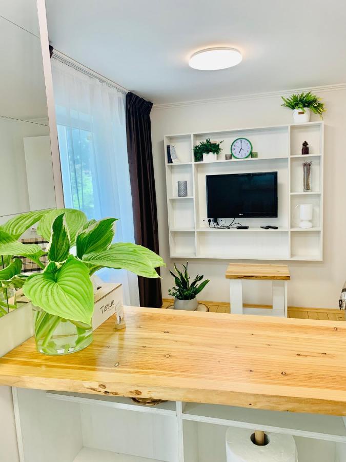 Apartment Privokzalnaya Square İvano-Frankivsk Dış mekan fotoğraf